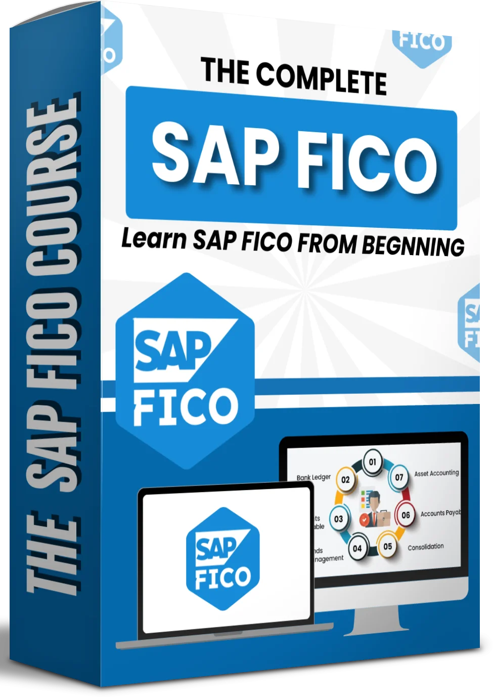 SAP FICO course